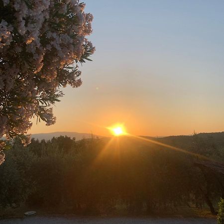 La Casina Del Poggio Daire Ponticino Dış mekan fotoğraf