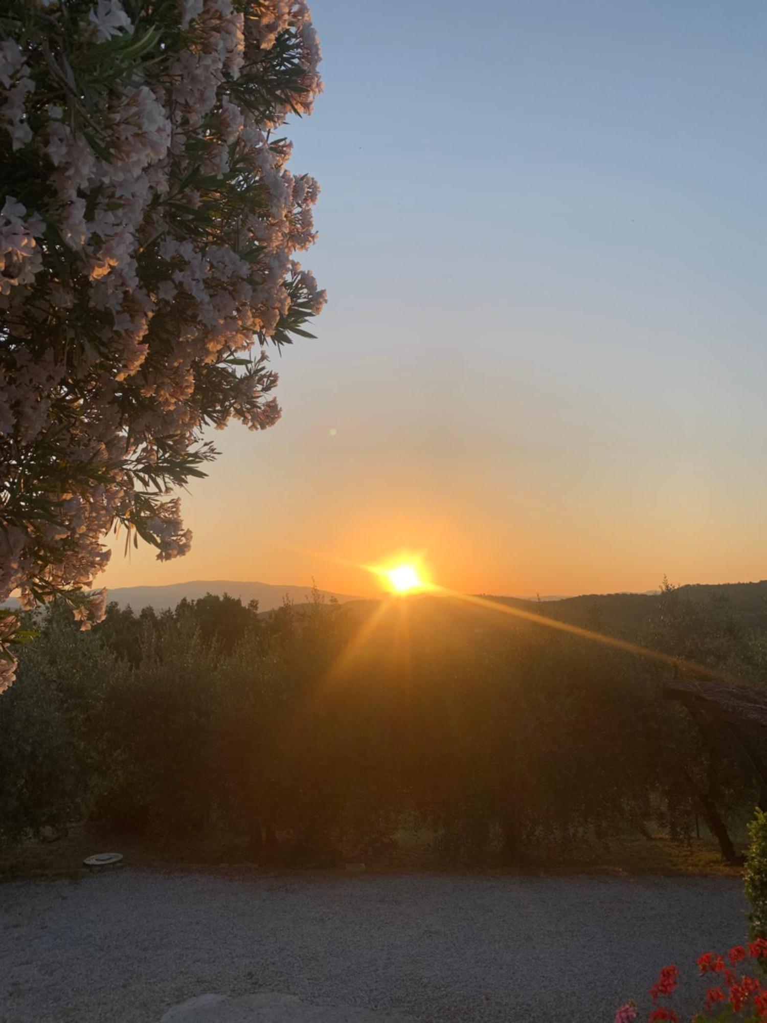 La Casina Del Poggio Daire Ponticino Dış mekan fotoğraf